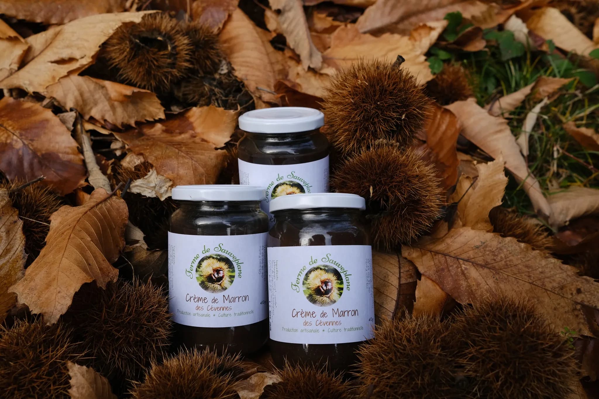 Crème de marron BIO des Cévennes