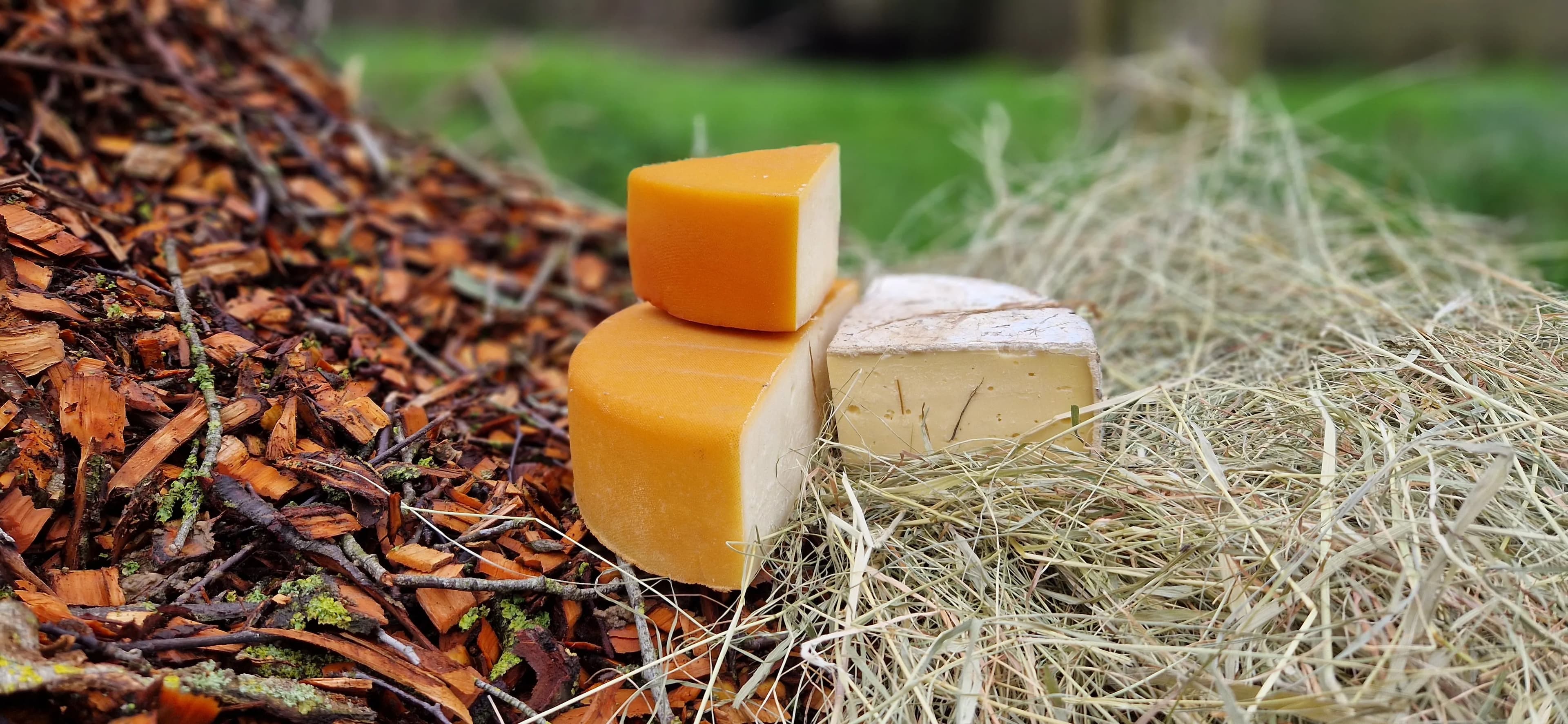 Duo Tomme bigout Bio - Foin & Fumée