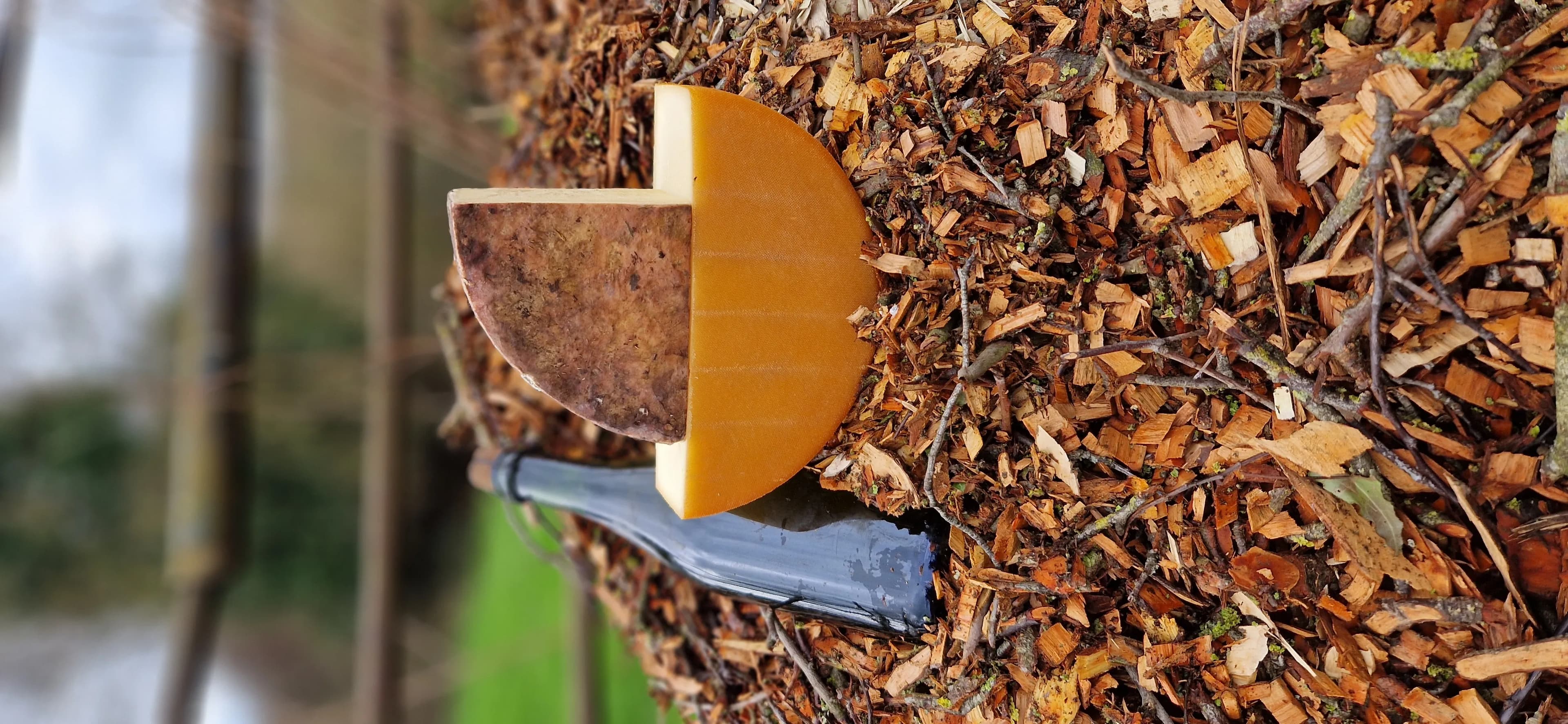 Duo Tomme bigout Bio – Fumée & Cidre