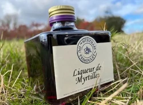 Liqueur de Myrtilles
