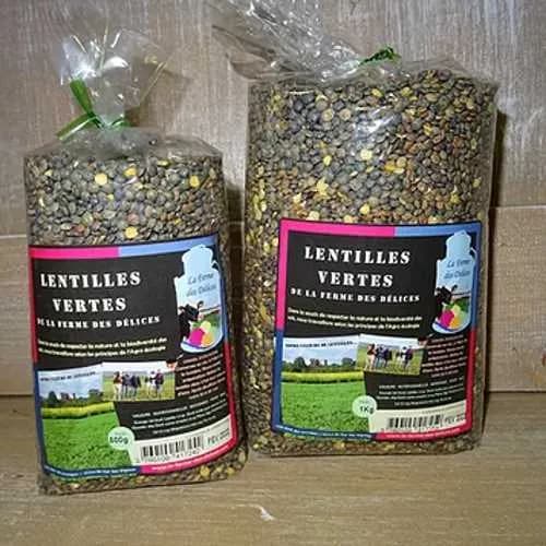 Lentilles vertes de la ferme