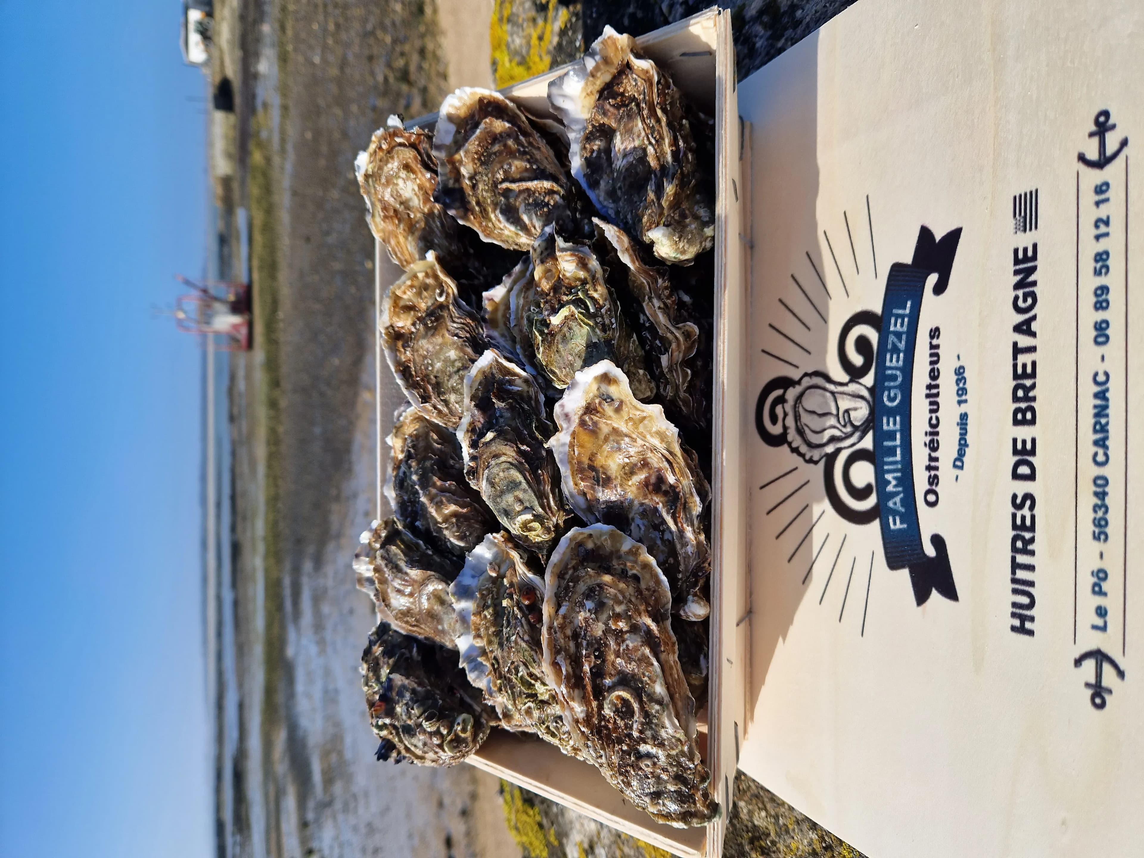 Huîtres creuses bretonne de la Baie de Quiberon N3x48