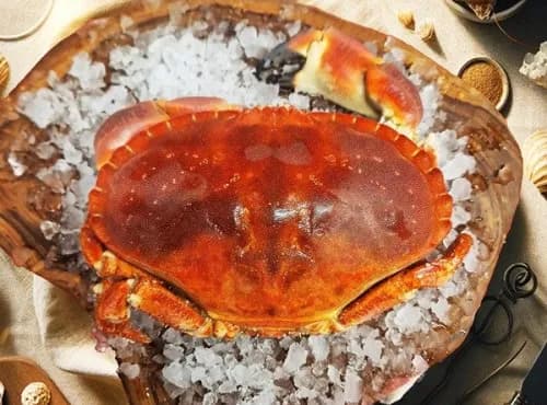 Tourteau entier Vivant