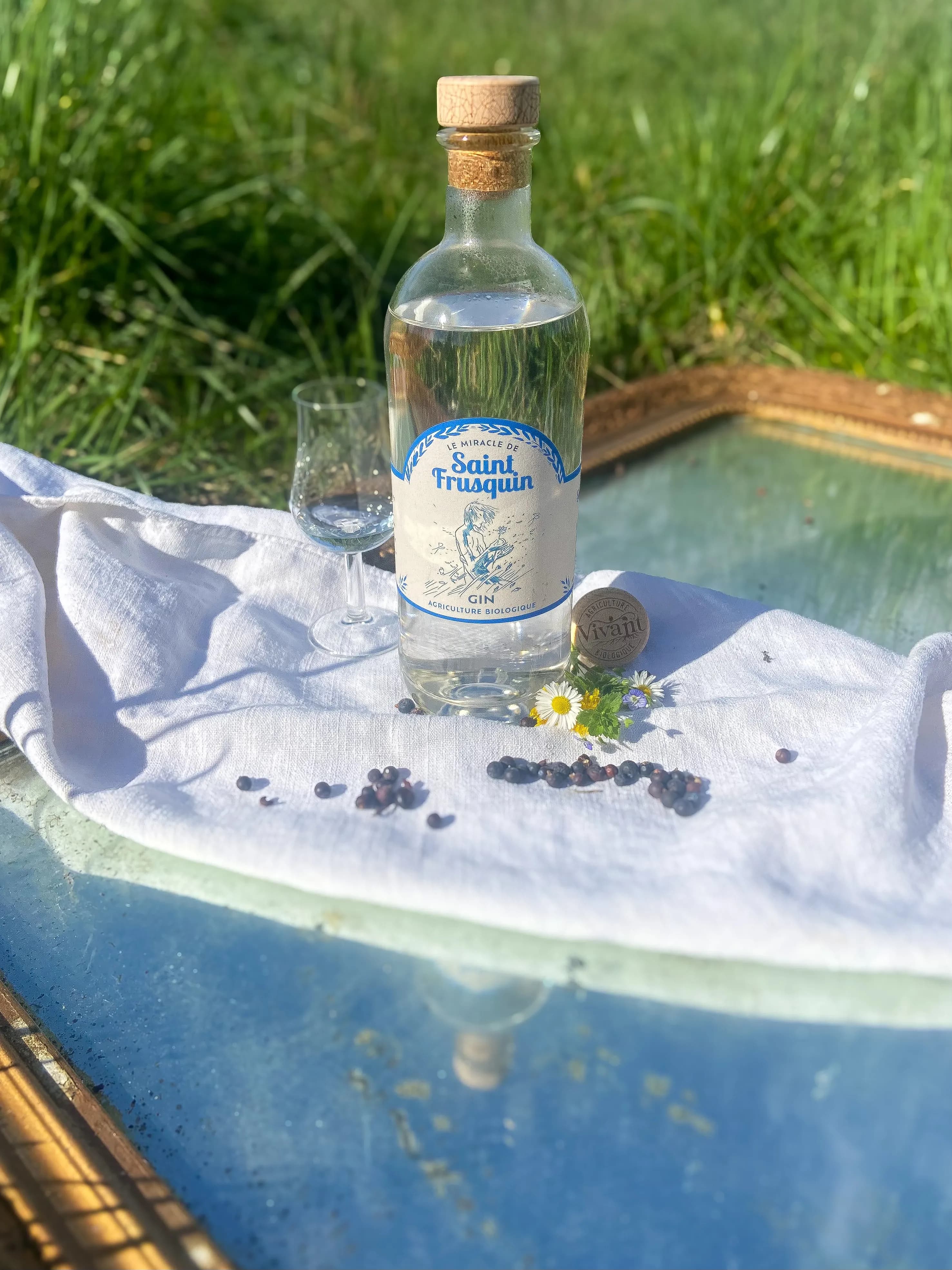 Gin Le Miracle de Saint-Frusquin BIO