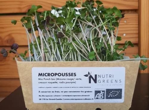 Micro pousses Mix Punch bio 4 barquettes