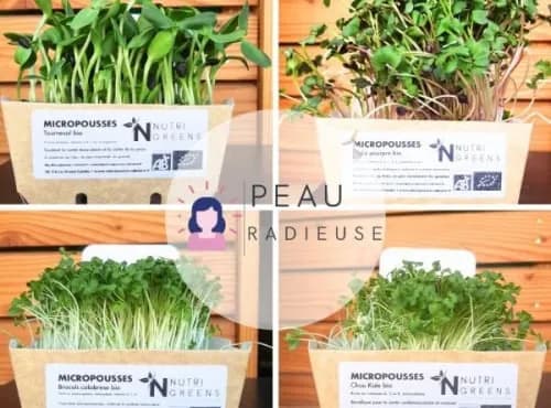Micro pousses Pack Peau radieuse (tournesol, radis, brocoli, kale) 4 barquettes