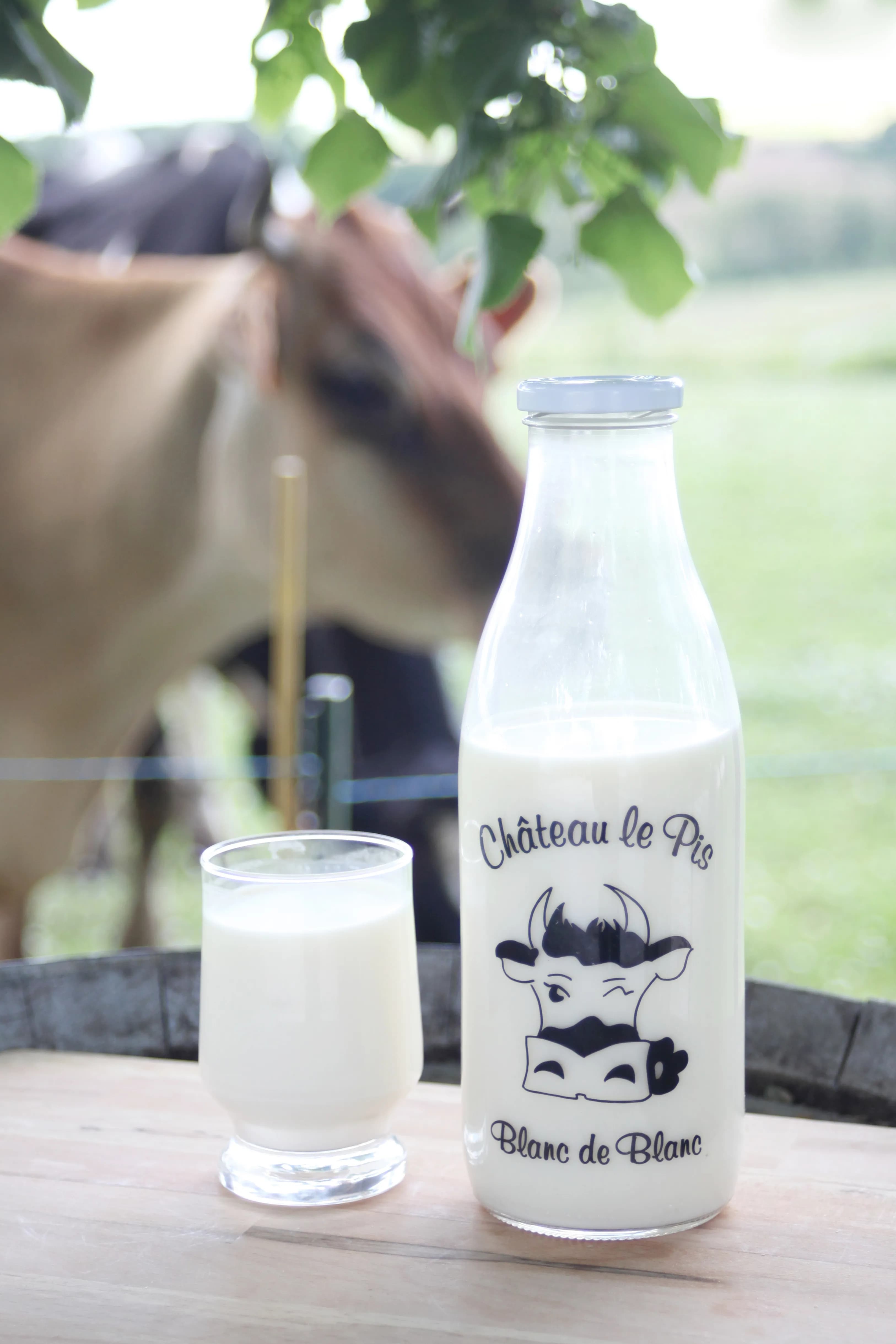 Lait cru frais entier de vache Bio