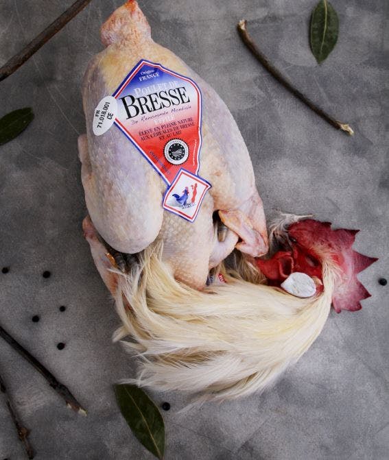 Poulet de Bresse