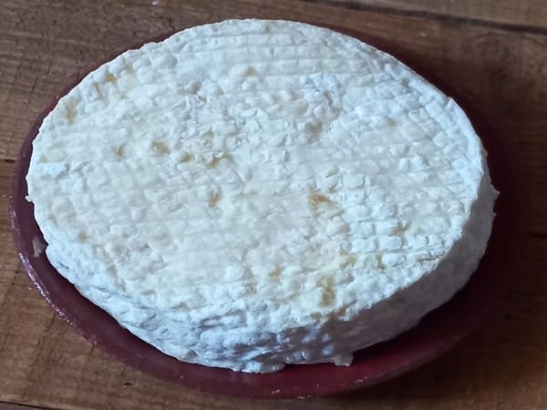 Ripaillou de chèvre au lait cru