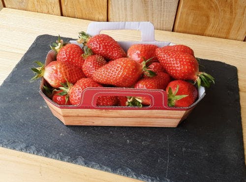 Fraises de Saint-Malo - barquette 500g