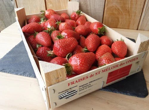 Fraises de Saint-Malo - plateau 1kg