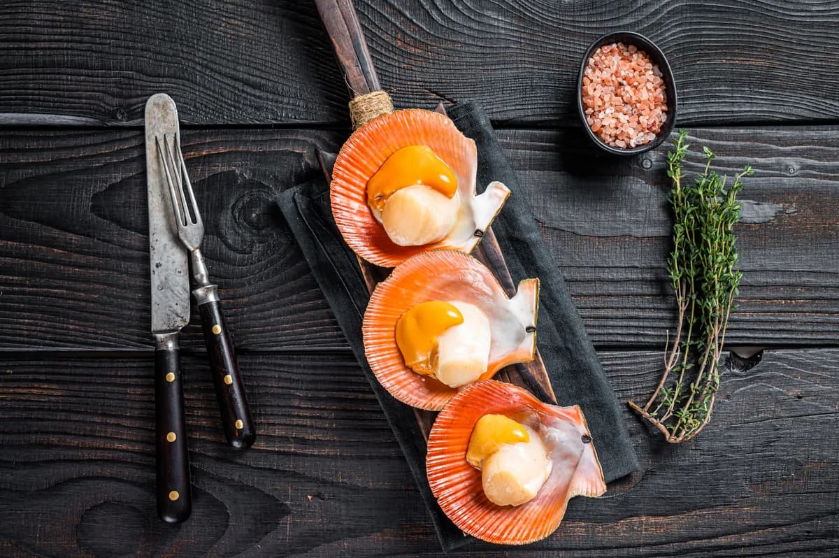 Coquille Saint-Jacques