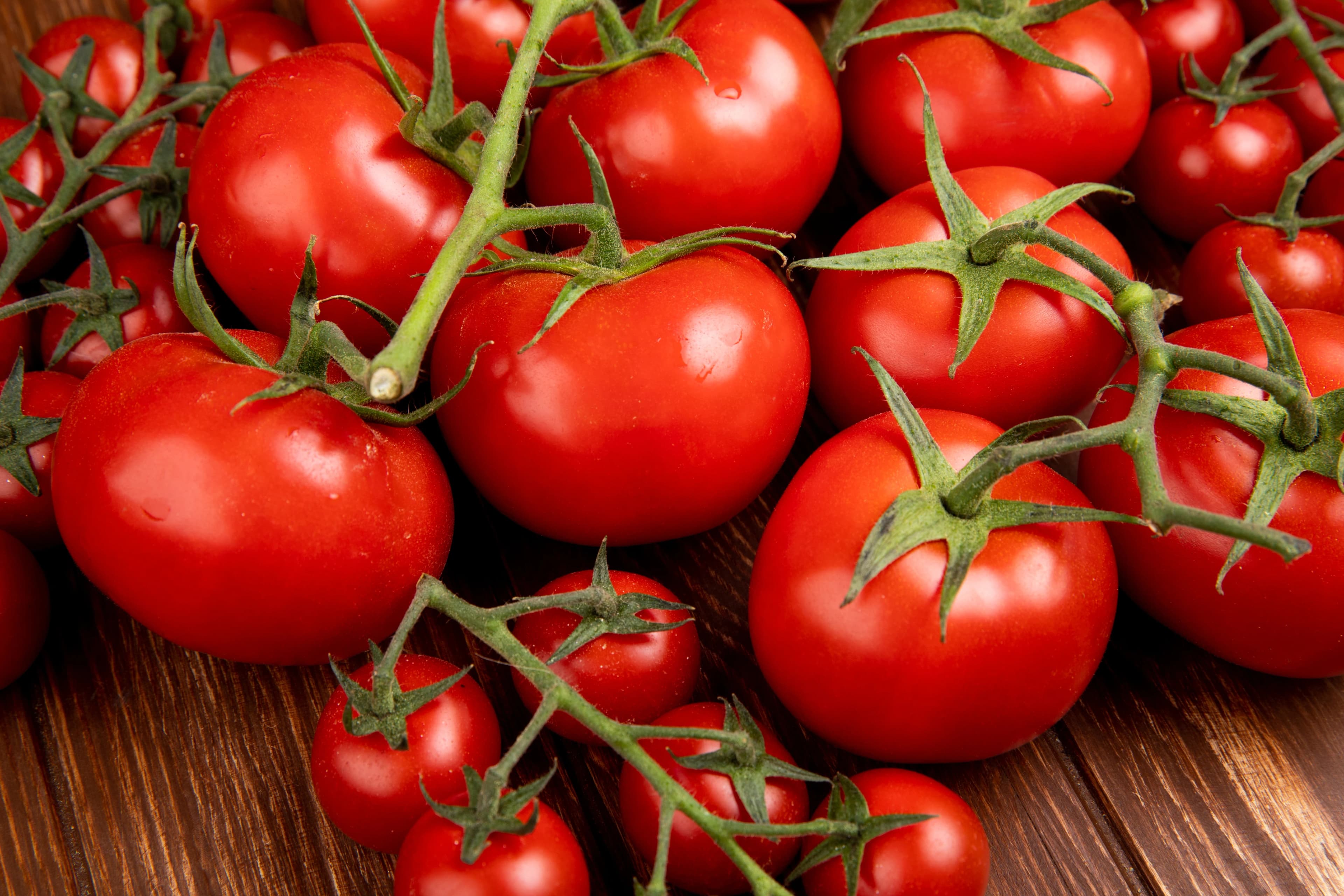 Tomates
