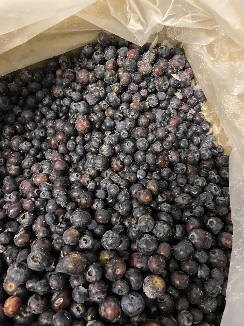 Myrtilles cultivées congelées