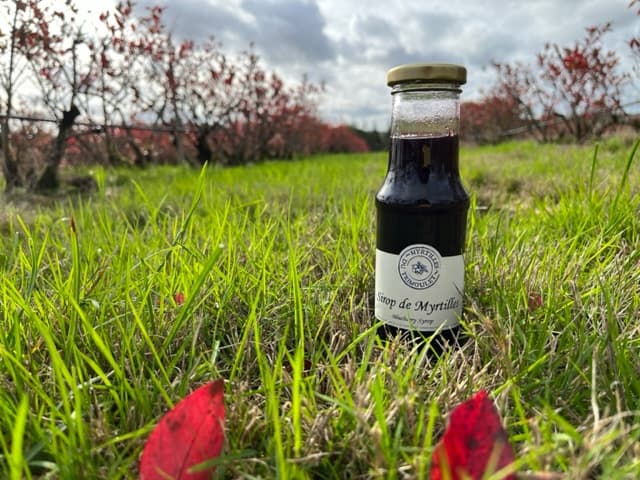 Sirop de Myrtilles