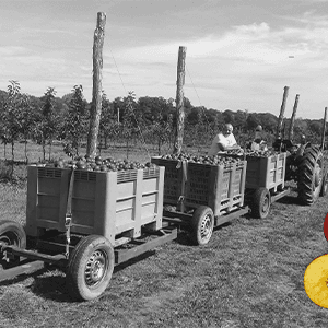 les Vergers de Chaleix