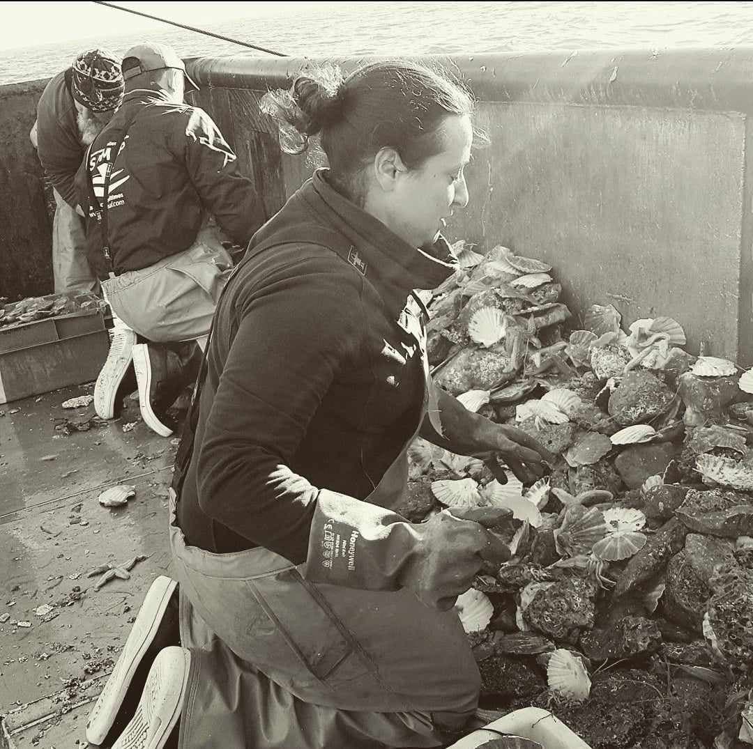 Logo de Telemaque Baie de Seine