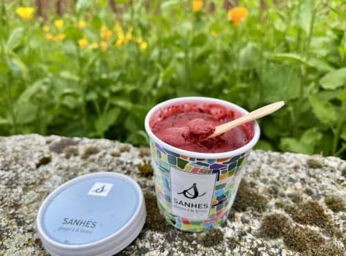 Sorbet Myrtilles
