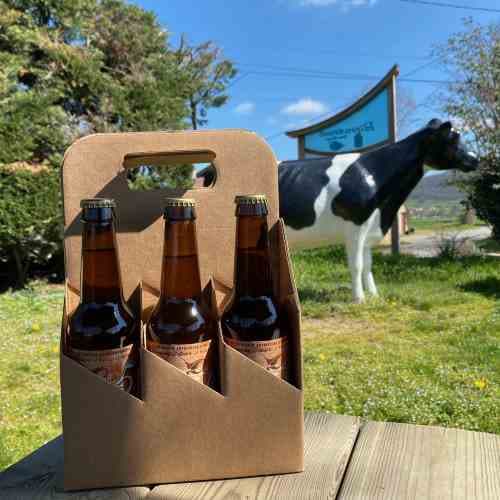 Boîte Kraft 6 bières "la tournée de Guy"