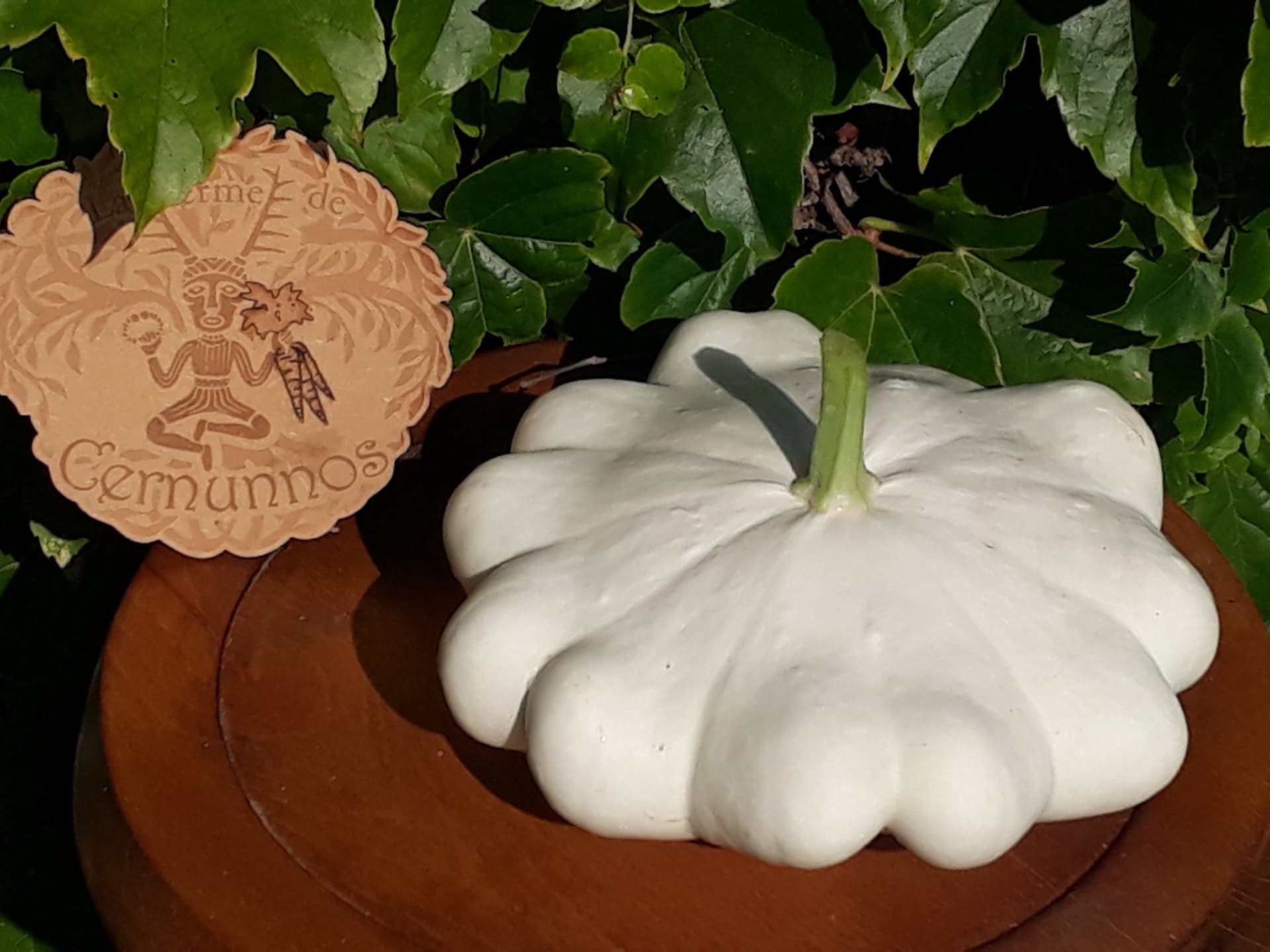 Pâtisson blanc