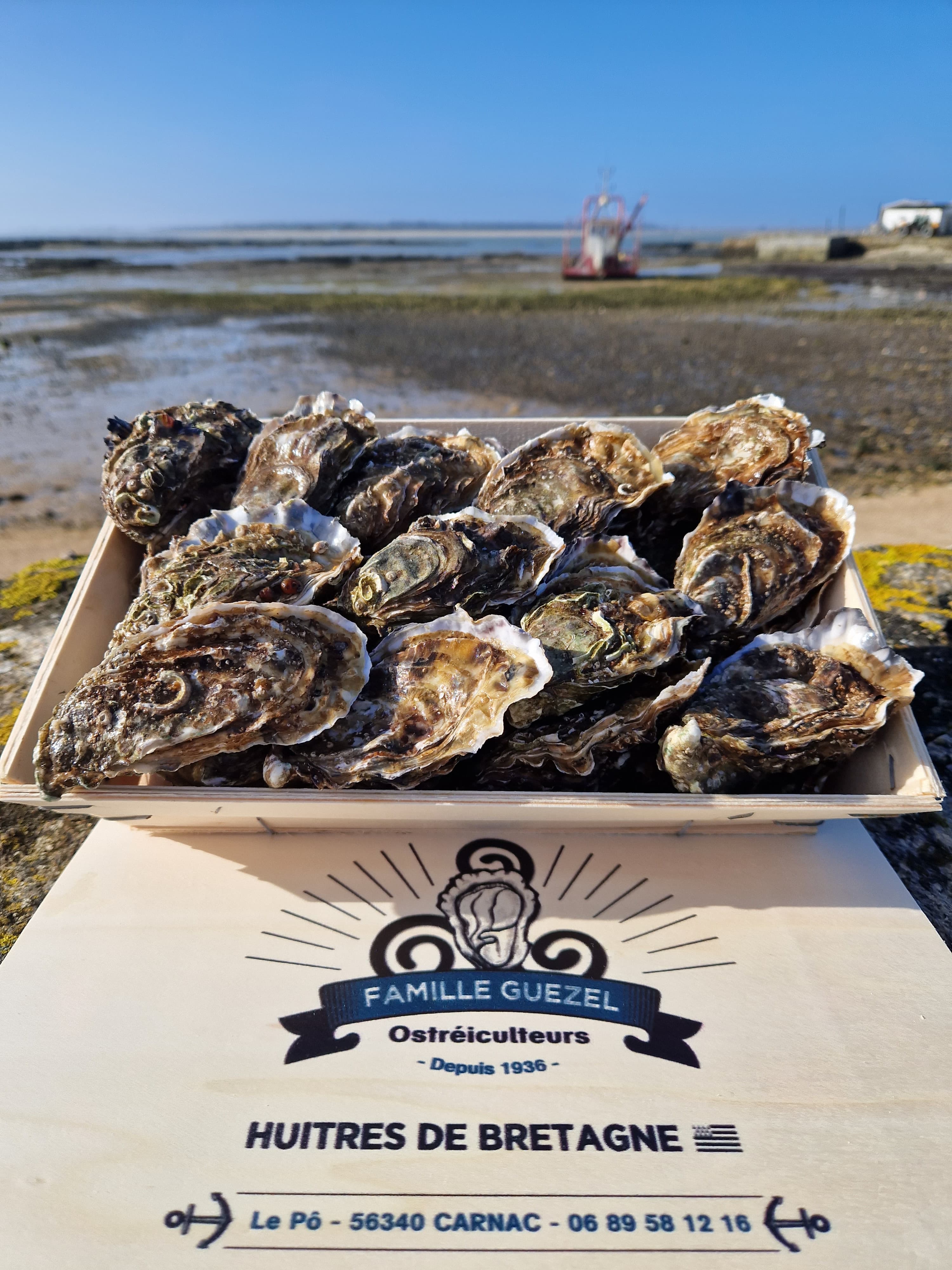 Huîtres creuses bretonne de la Baie de Quiberon N3x48