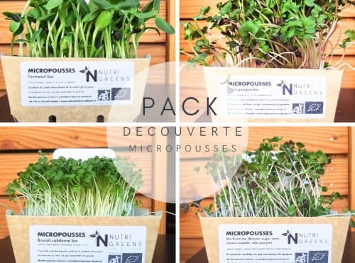 Micro-pousses Pack de découverte bio 16 barquettes