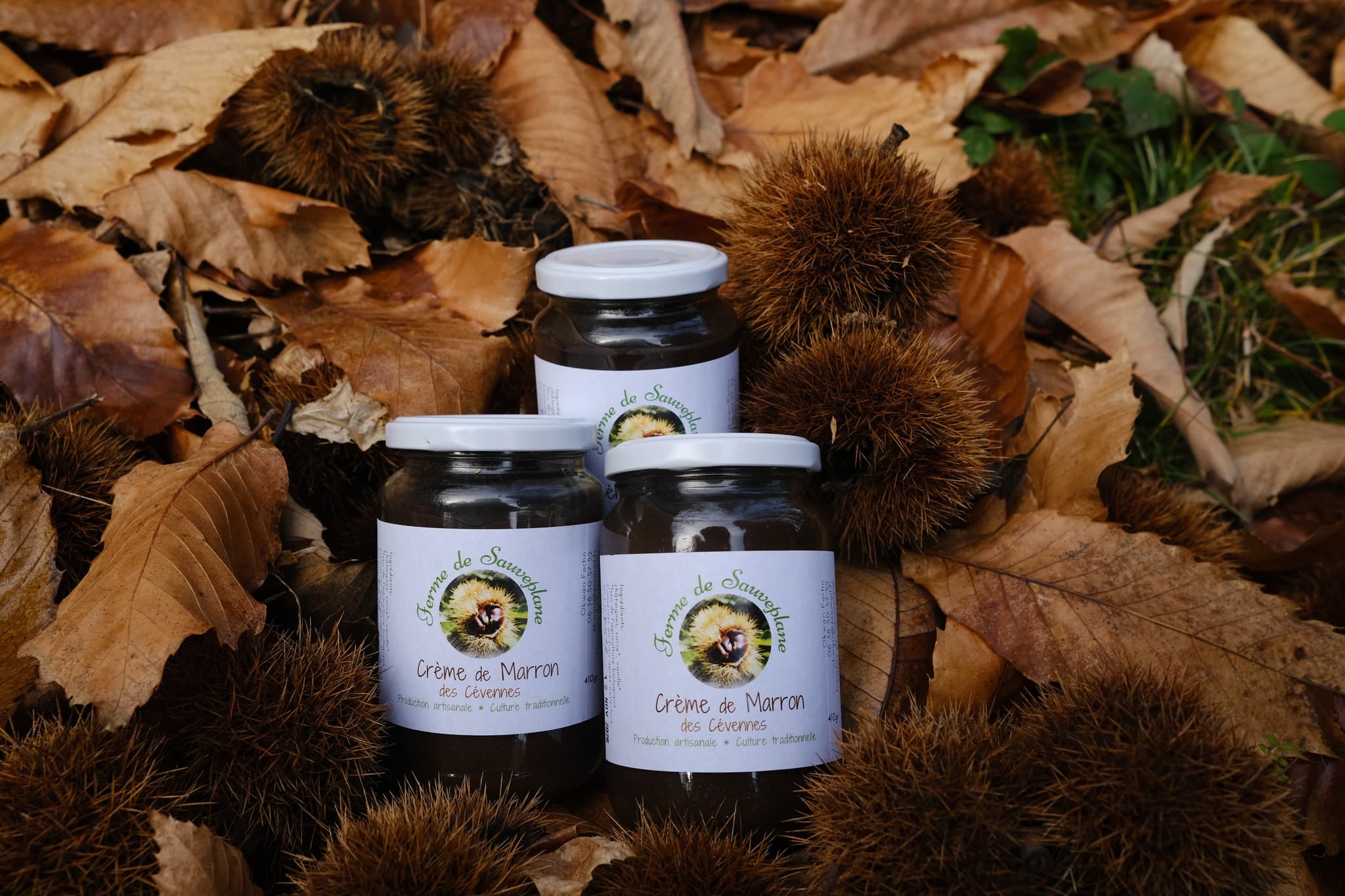 Crème de marron BIO des Cévennes