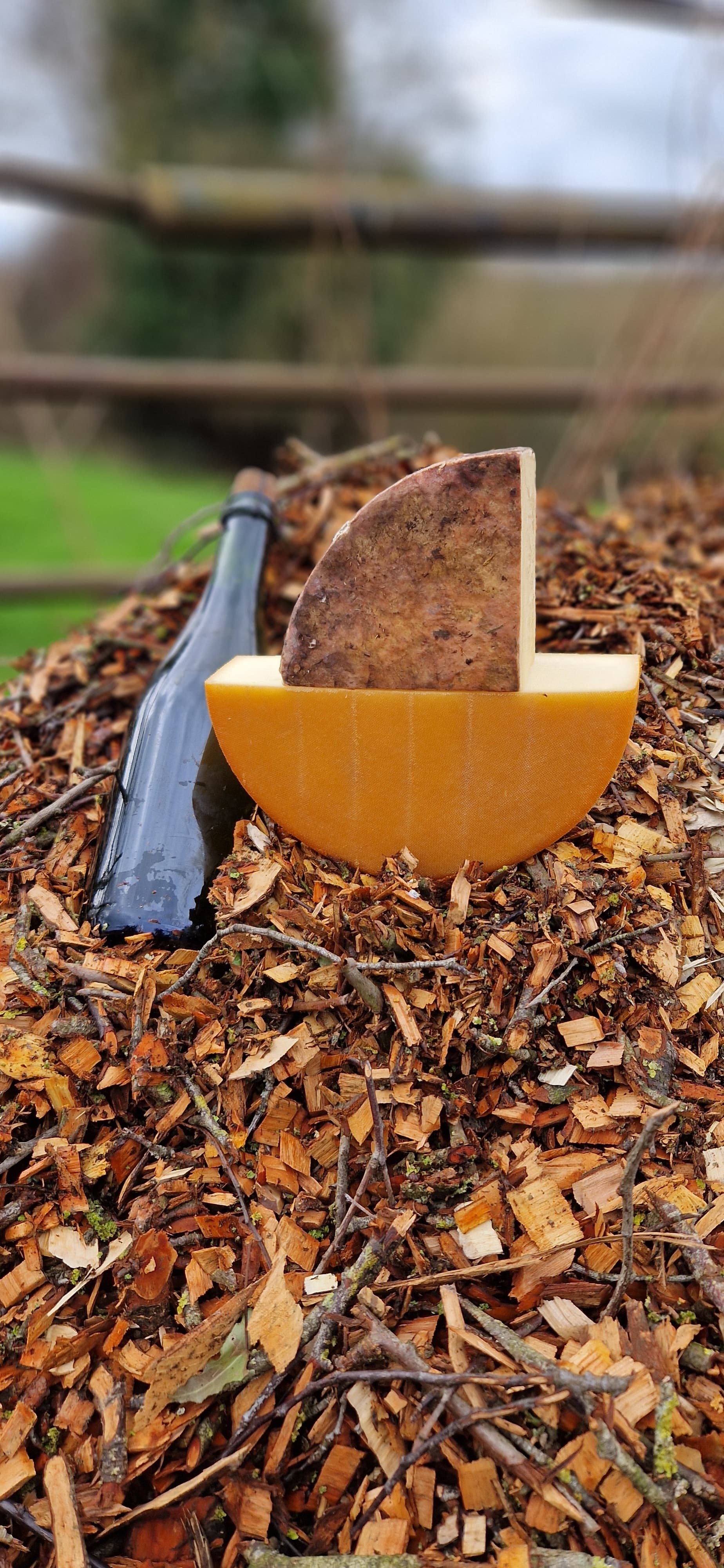 Duo Tomme bigout Bio – Fumée & Cidre