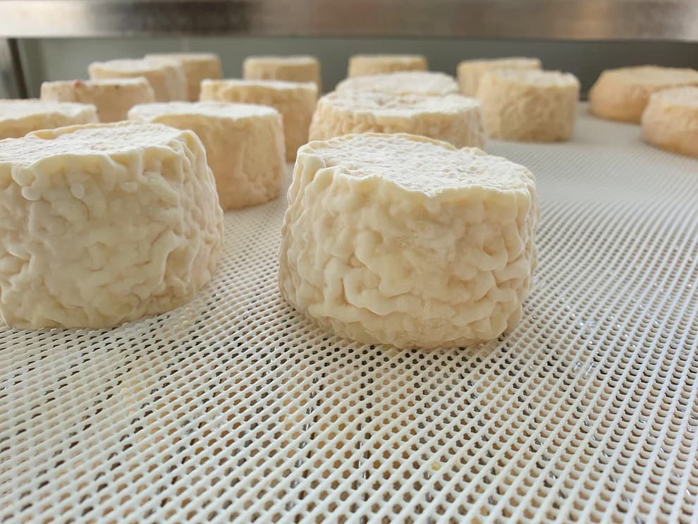 Crottin crémeux de chèvre