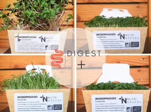 Micropousses Pack Digest + (Radis, Cerfeuil, Cresson, Roquette) 4 barquettes